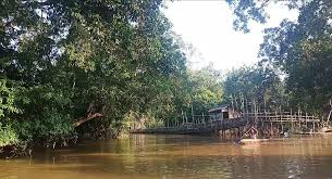 Danau Burung