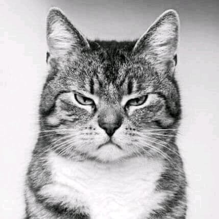Fahruddin